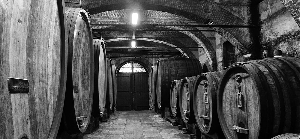 wine tour
