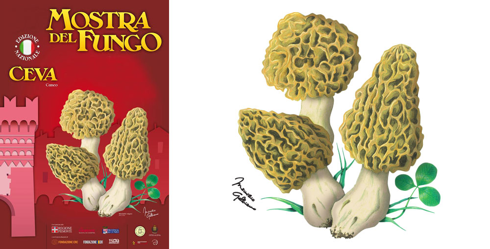 mostra del fungo ceva